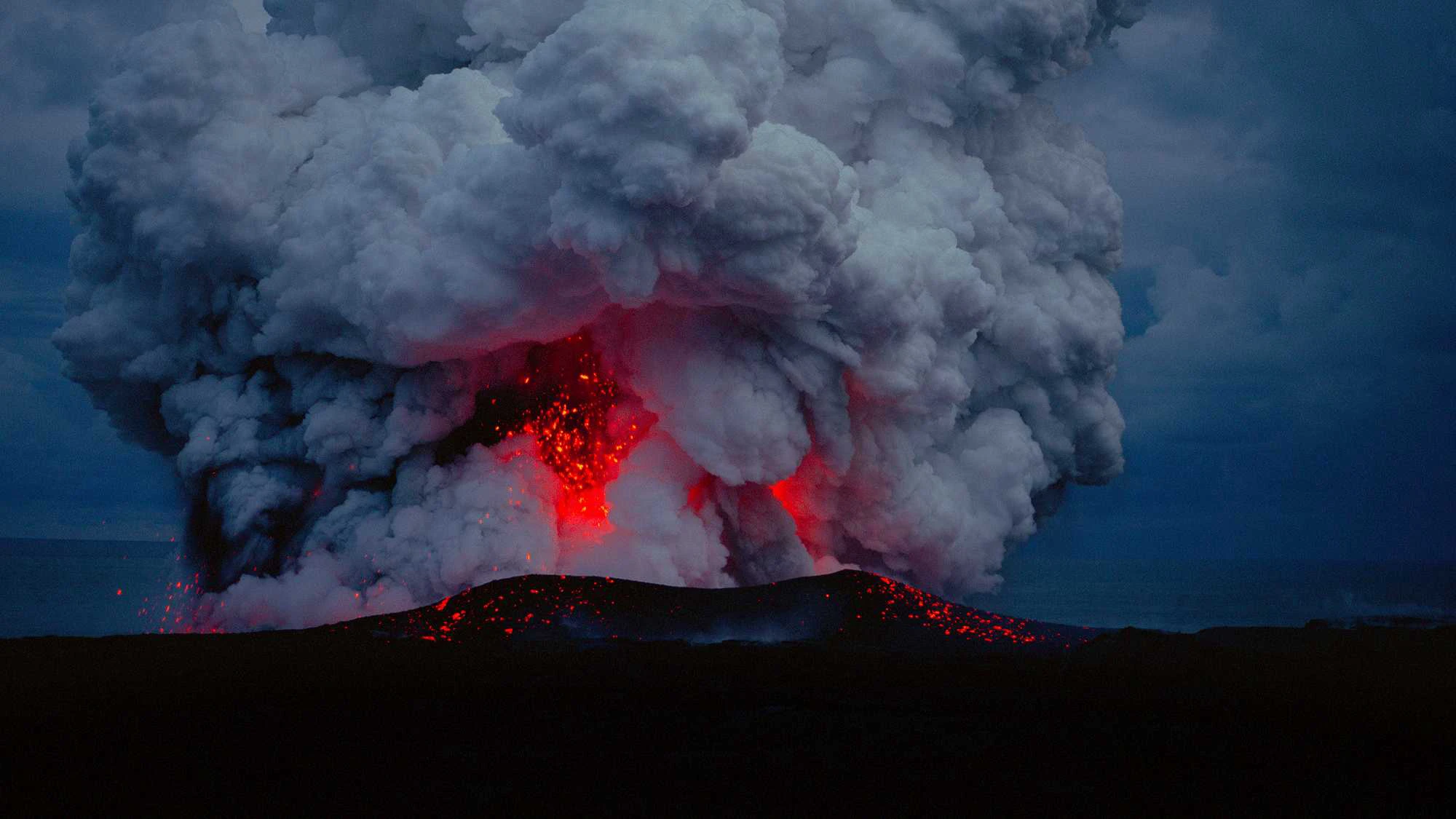 Biến Chuyển Của Sự Sống: Hành Trình Xuyên Thời Gian - Voyage Of Time: Life's Journey