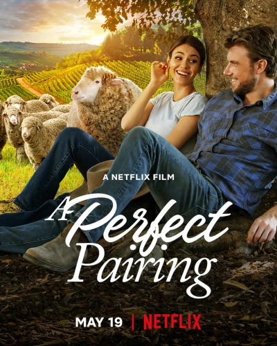 Bộ đôi hoàn mỹ - A Perfect Pairing (2022)