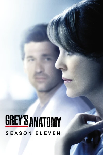 Ca Phẫu Thuật Của Grey (Phần 11) - Grey's Anatomy (Season 11)