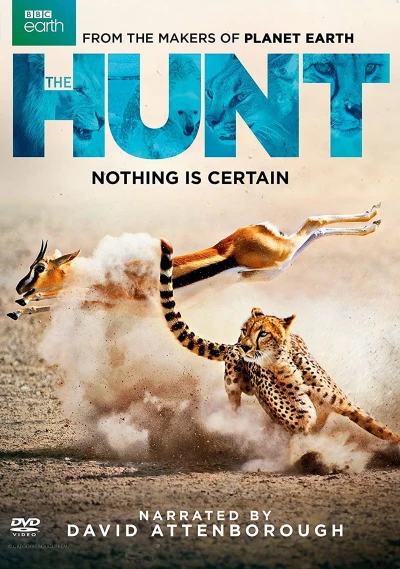 Săn Mồi - BBC: The Hunt